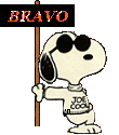 CHICO Bravo